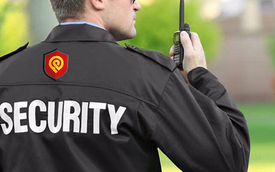 Professional Security